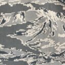 USAFtiger