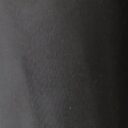 blacktwill