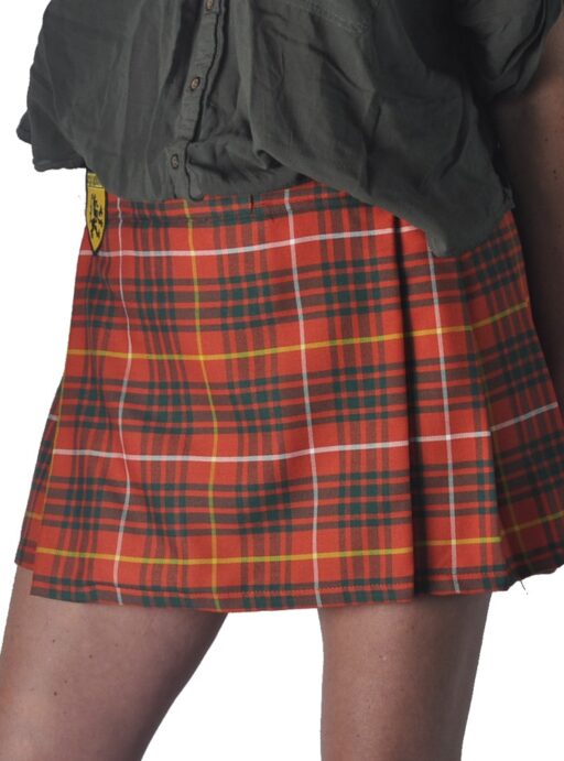 brucefront1 Bruce tartan mini kilt