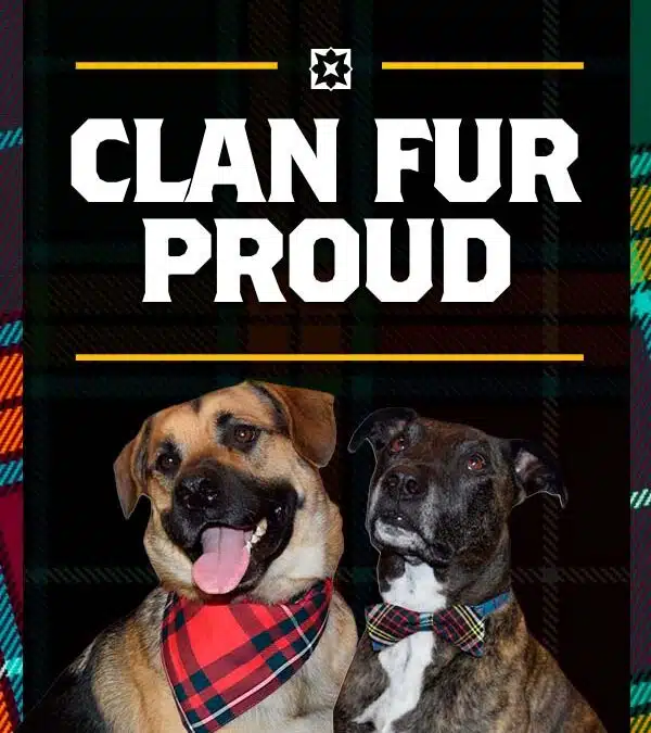 Tartan fur all!